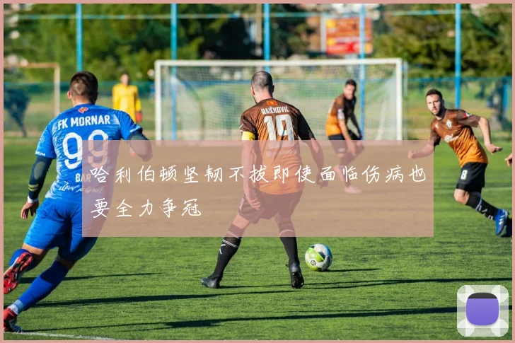 哈利伯顿坚韧不拔即使面临伤病也要全力争冠