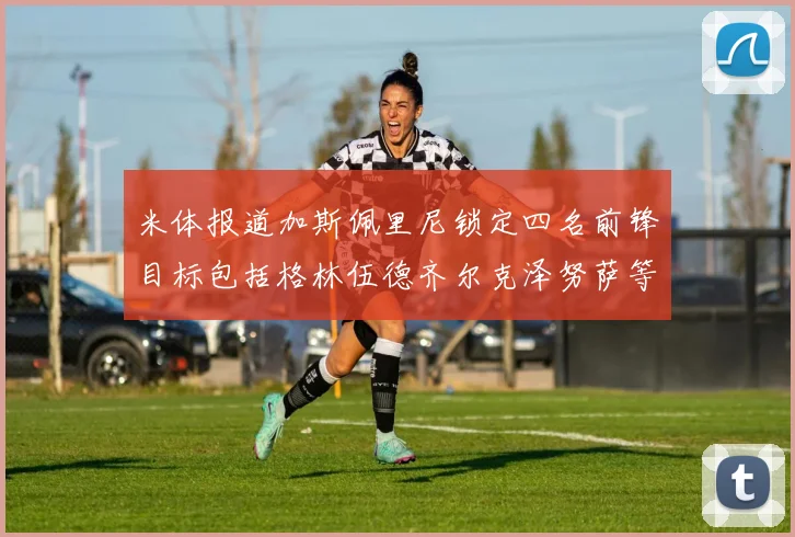 米体报道加斯佩里尼锁定四名前锋目标包括格林伍德齐尔克泽努萨等人